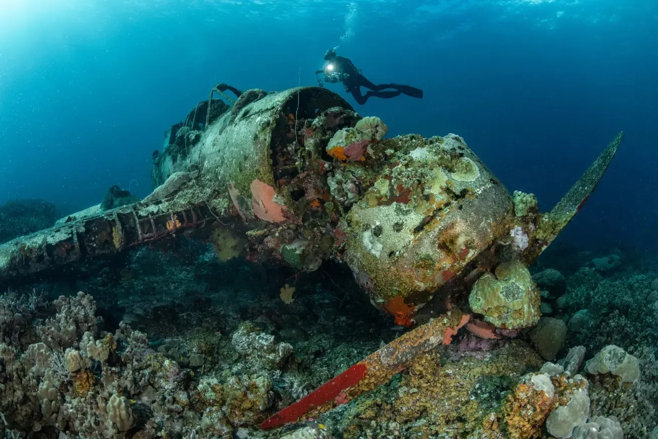 Palau Liveaboard Diving: Blue Holes, WWII Wrecks and Sharks